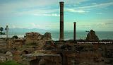 CARTAGINE 8